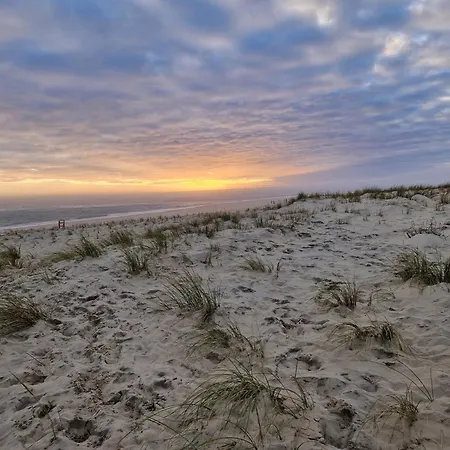 Cap Ferret Siblu Les Viviers * Lege-Cap-Ferret
